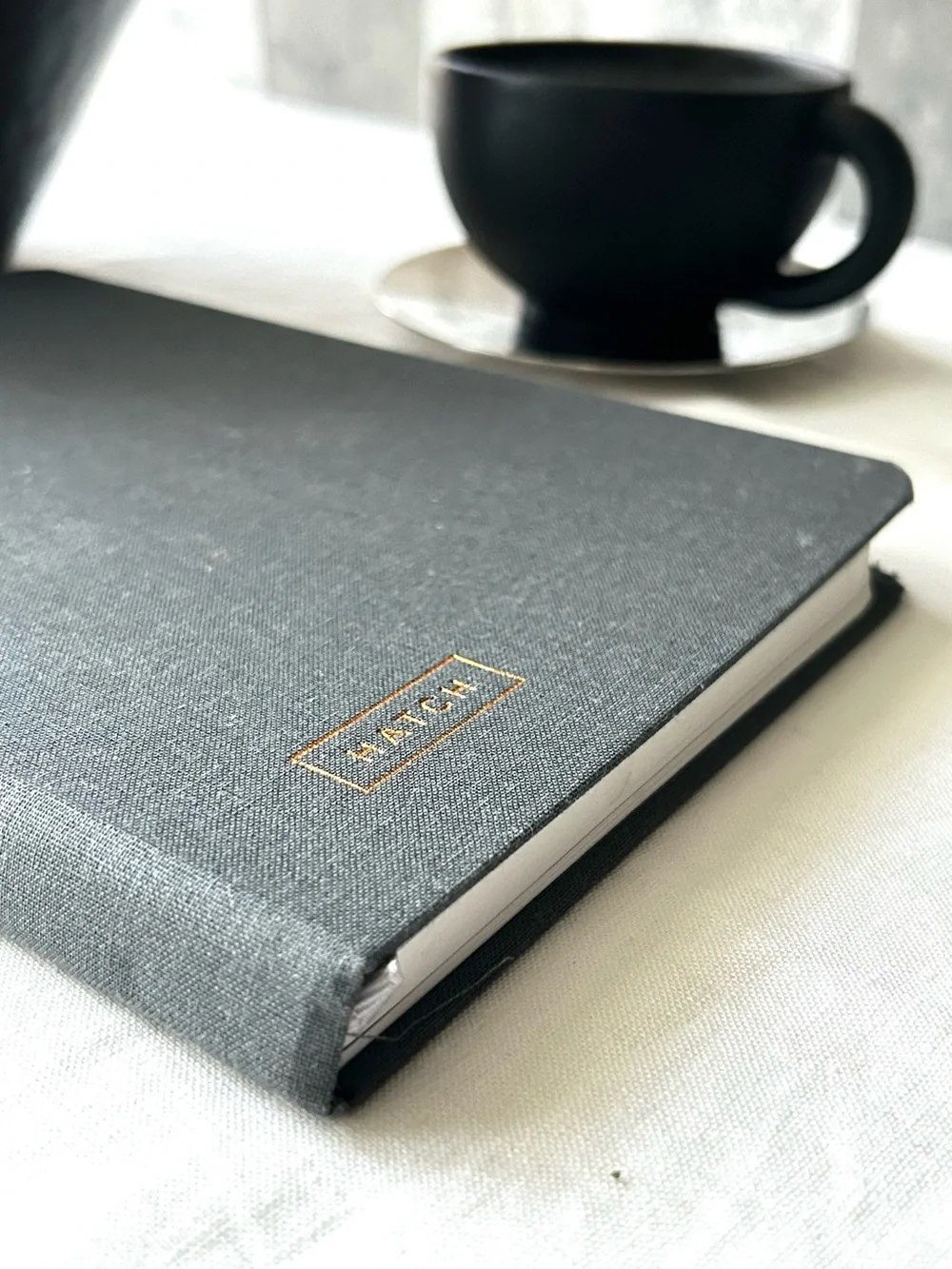 🌴Hatch Notebook for Entrepreneur | Ideas Journal & Project Planner